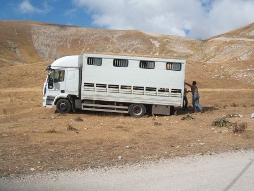 trekking con i muli-171.JPG